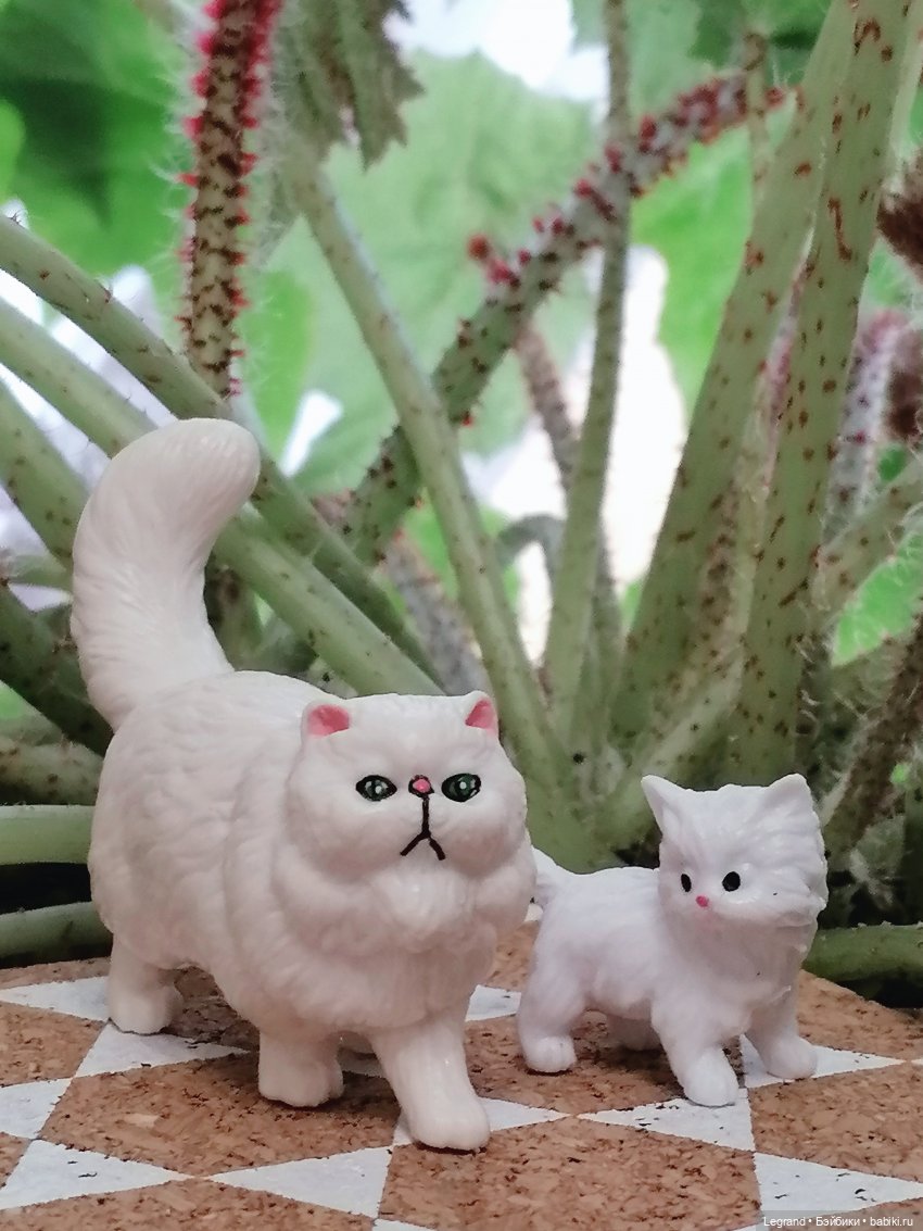 Они сами пишут свои истории: О кошачьих и не только🤗