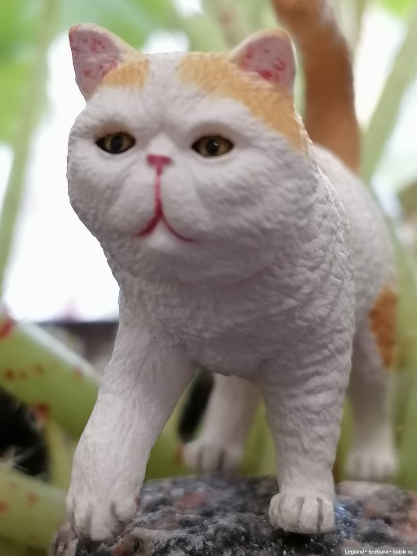 Они сами пишут свои истории: О кошачьих и не только🤗