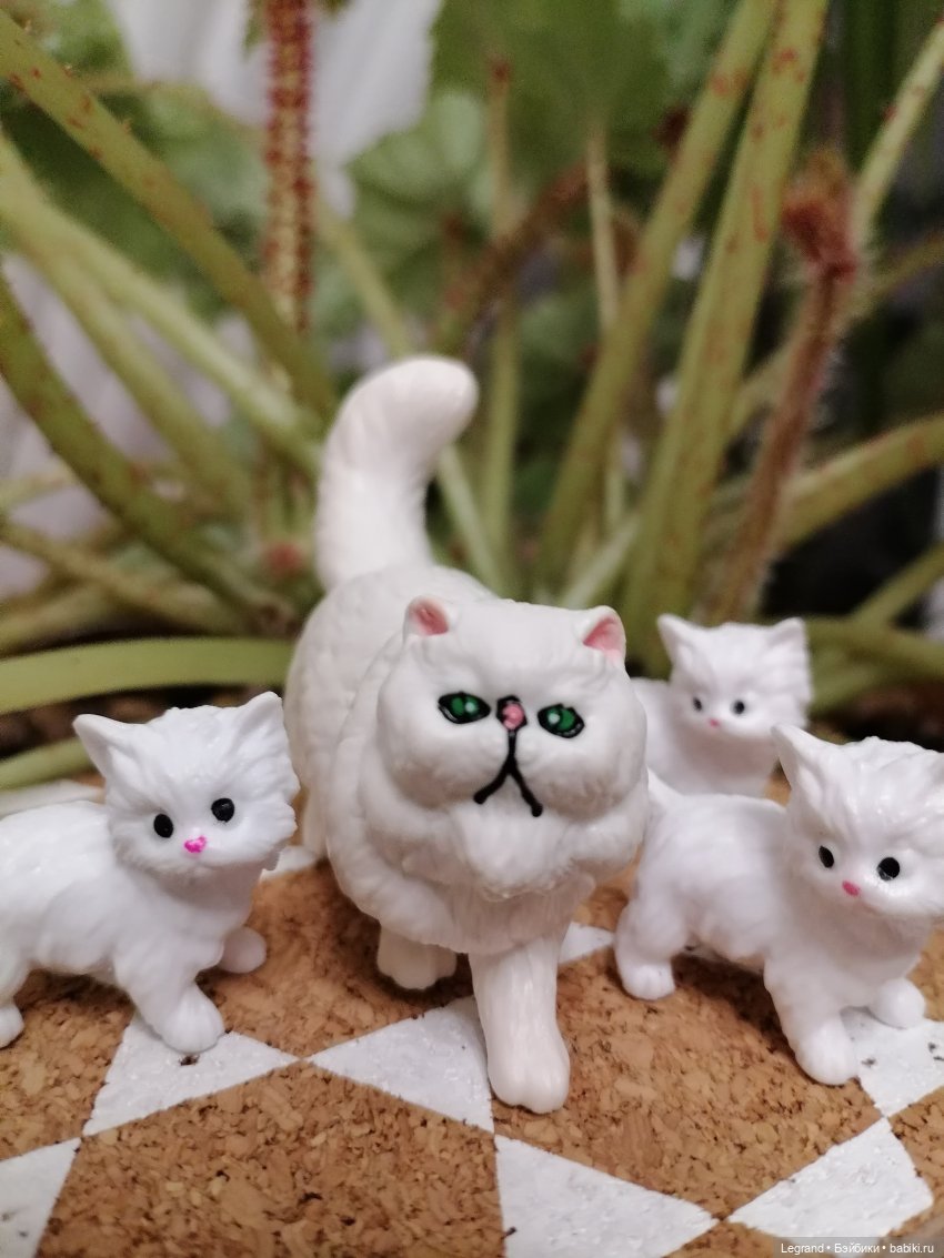 Они сами пишут свои истории: О кошачьих и не только🤗