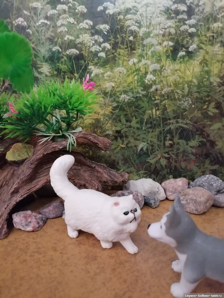 Они сами пишут свои истории: О кошачьих и не только🤗