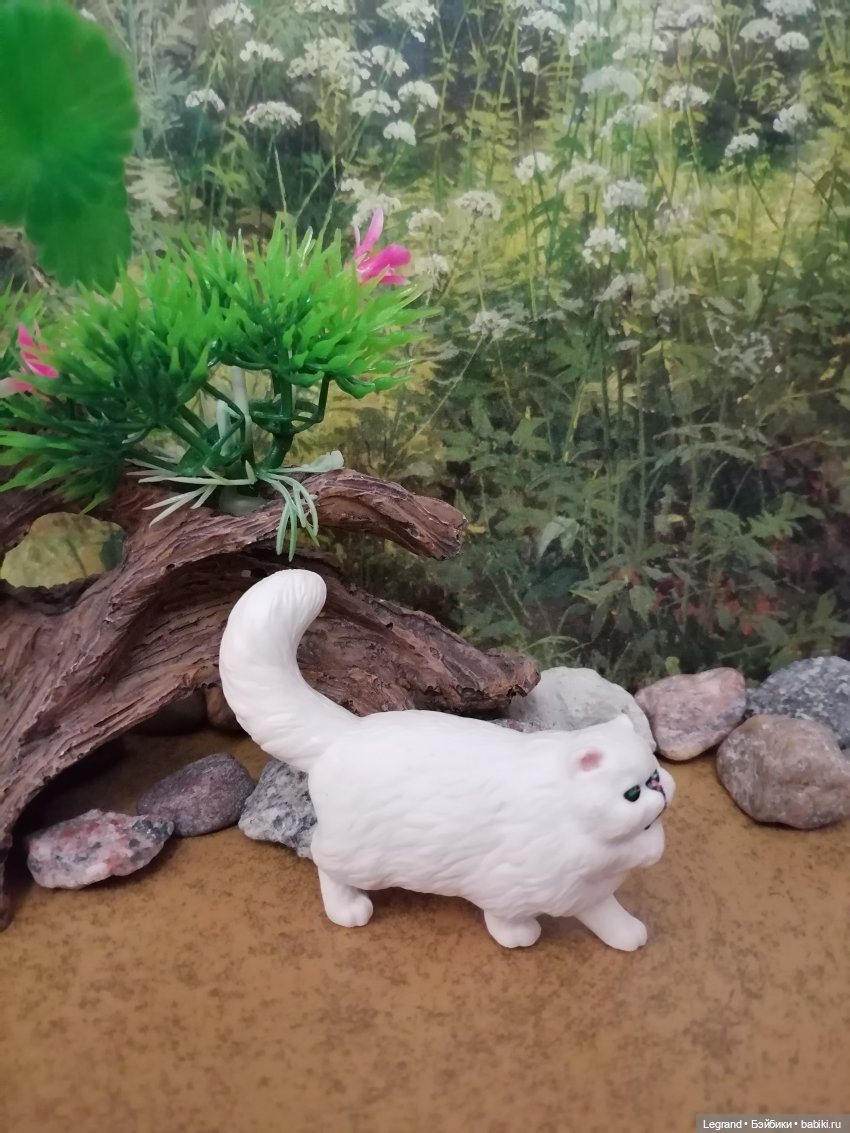 Они сами пишут свои истории: О кошачьих и не только🤗 (фото 10)