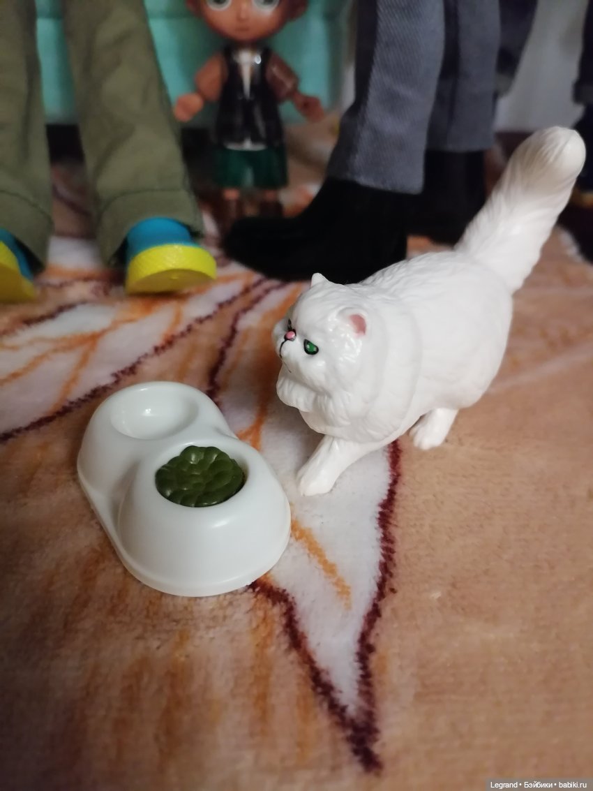 Они сами пишут свои истории: О кошачьих и не только🤗 (фото 2)