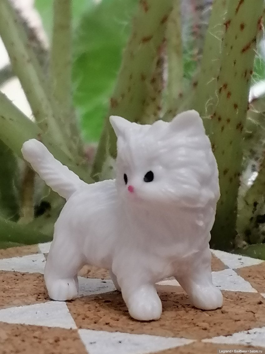 Они сами пишут свои истории: О кошачьих и не только🤗