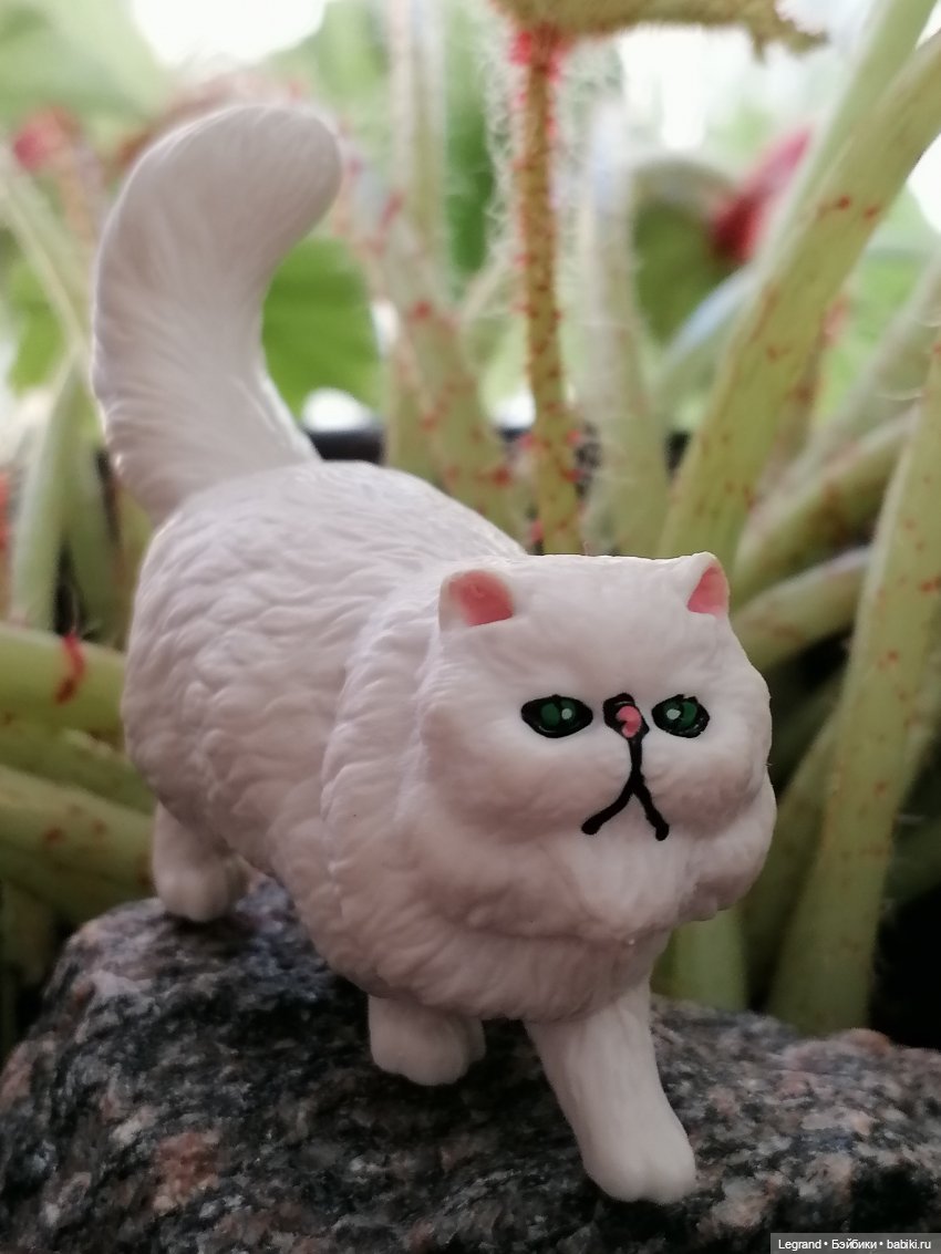 Они сами пишут свои истории: О кошачьих и не только🤗