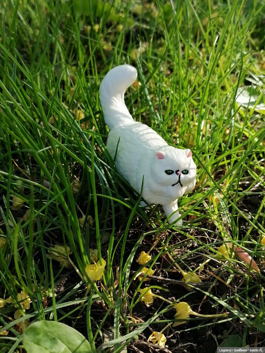 Они сами пишут свои истории: О кошачьих и не только🤗