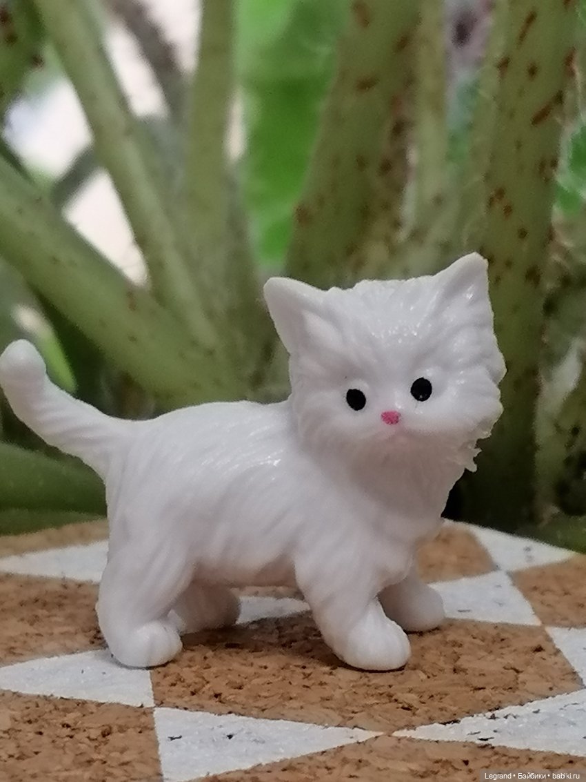 Лурения: семья кошки Шекер🐈 (фото 3)