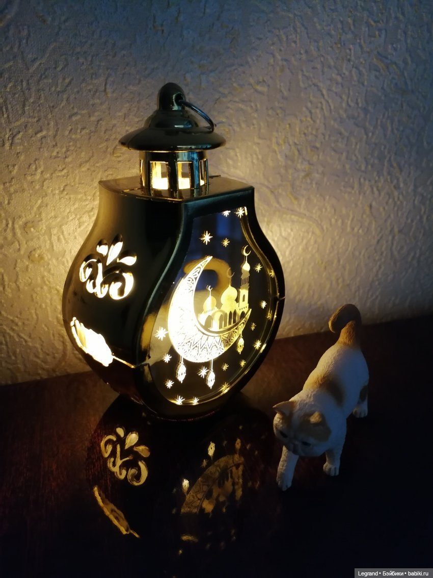 Они сами пишут свои истории: О кошачьих и не только🤗