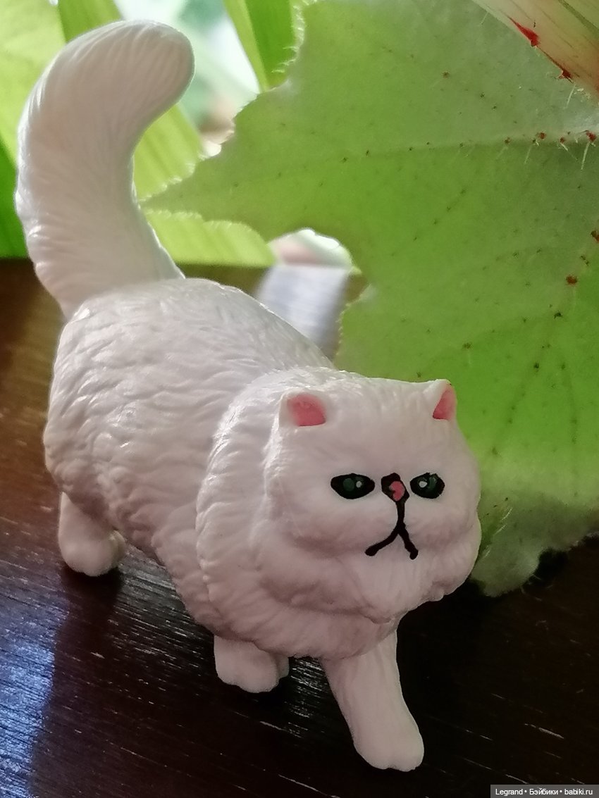 Они сами пишут свои истории: О кошачьих и не только🤗