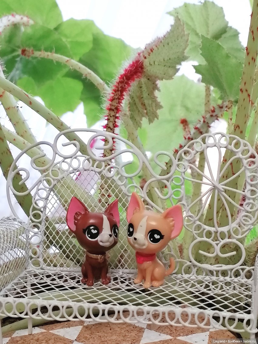 Лурения - Верхний сад: прогулки и встречи