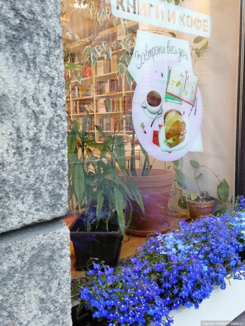 Санкт-Петербург: питомцы на ул. Радищева