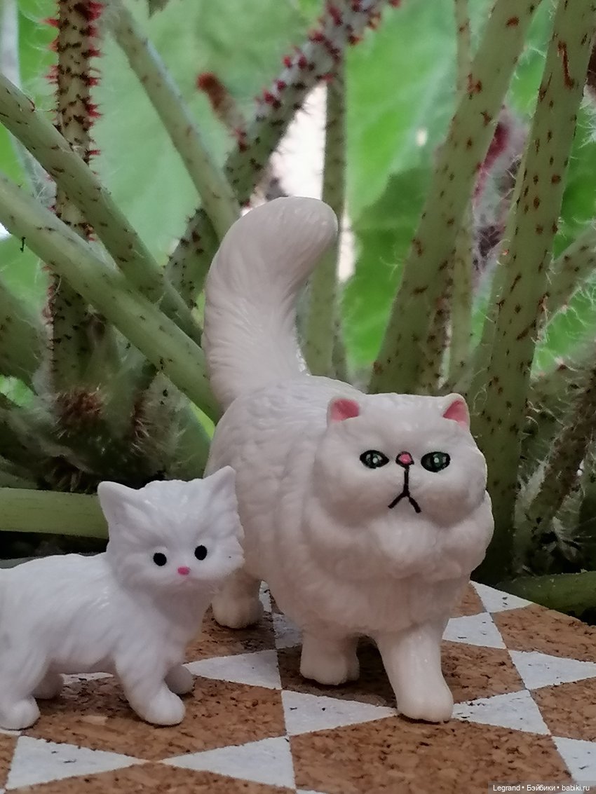 Они сами пишут свои истории: О кошачьих и не только🤗