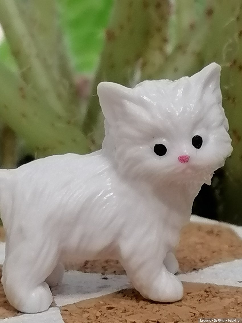 Лурения: семья кошки Шекер🐈 (фото 5)