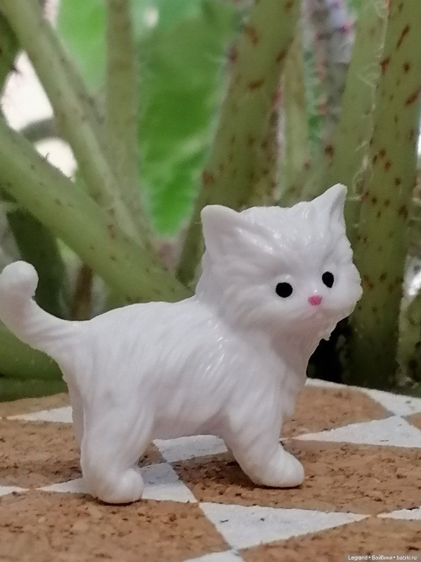 Они сами пишут свои истории: О кошачьих и не только🤗