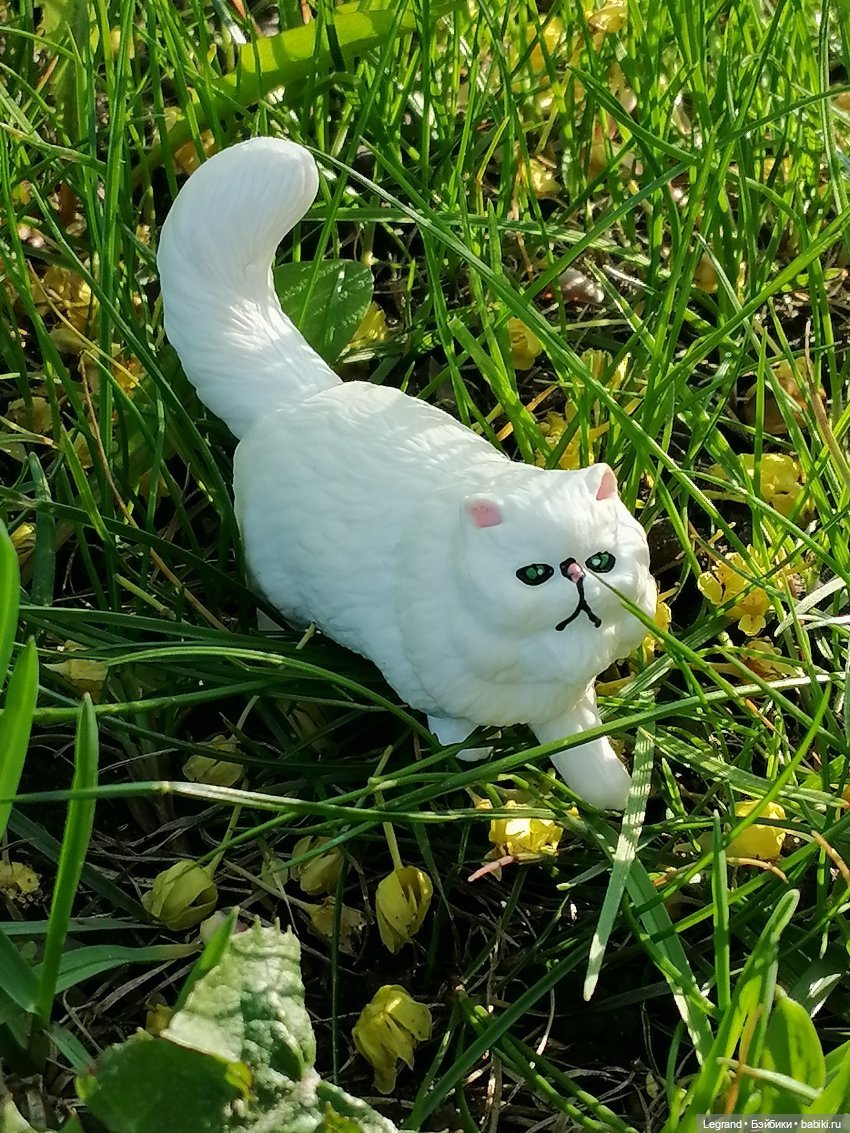 Они сами пишут свои истории: О кошачьих и не только🤗