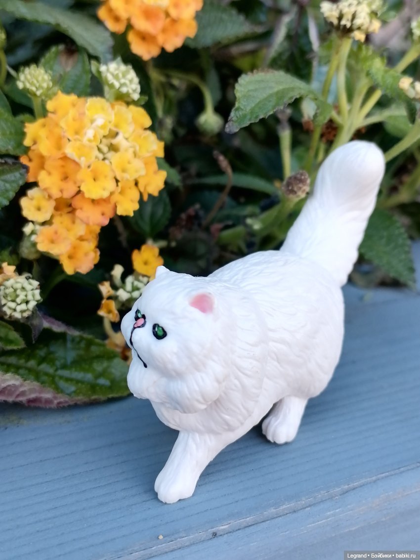 Они сами пишут свои истории: О кошачьих и не только🤗