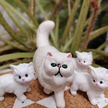 Они сами пишут свои истории: О кошачьих и не только🤗