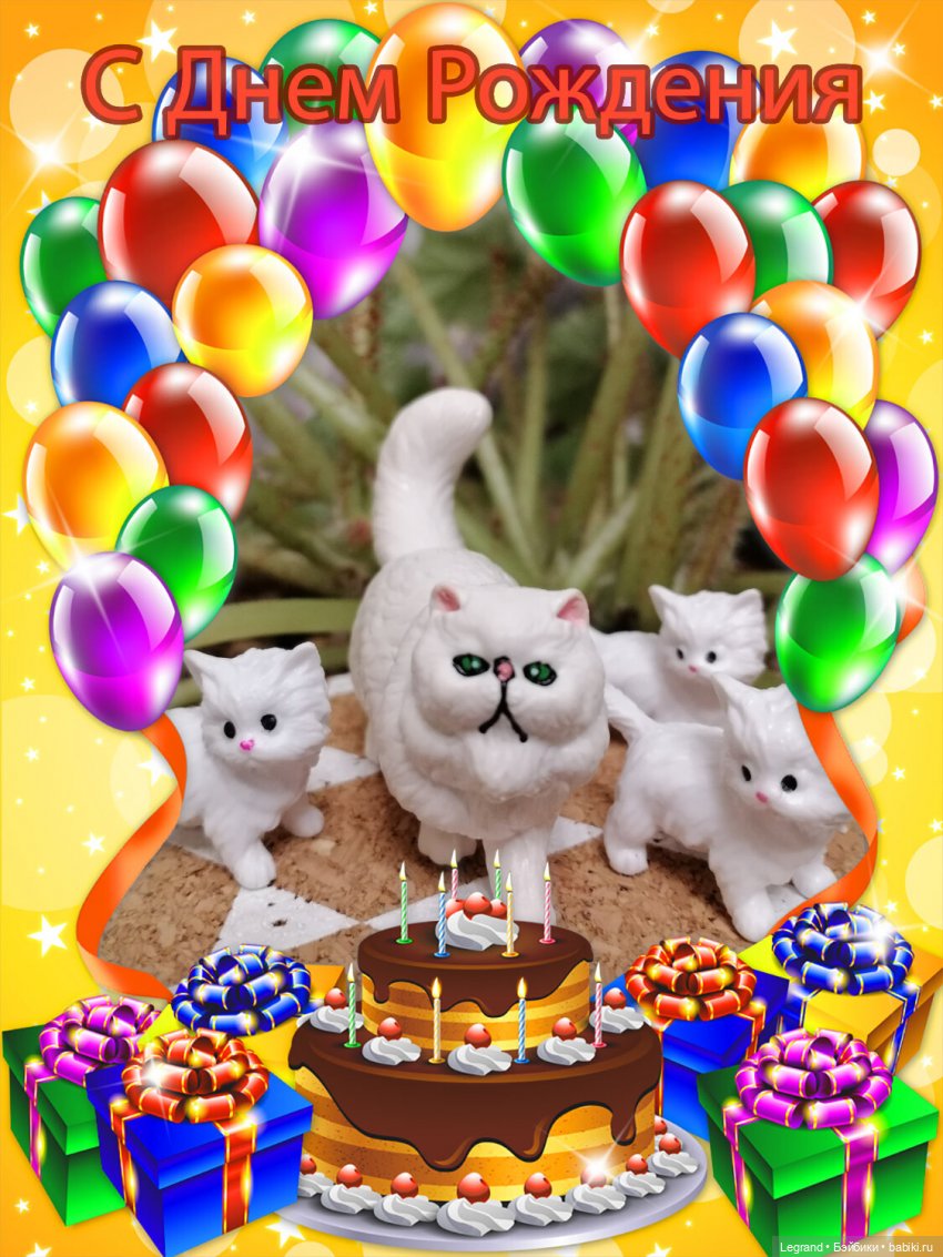 Лурения: семья кошки Шекер🐈