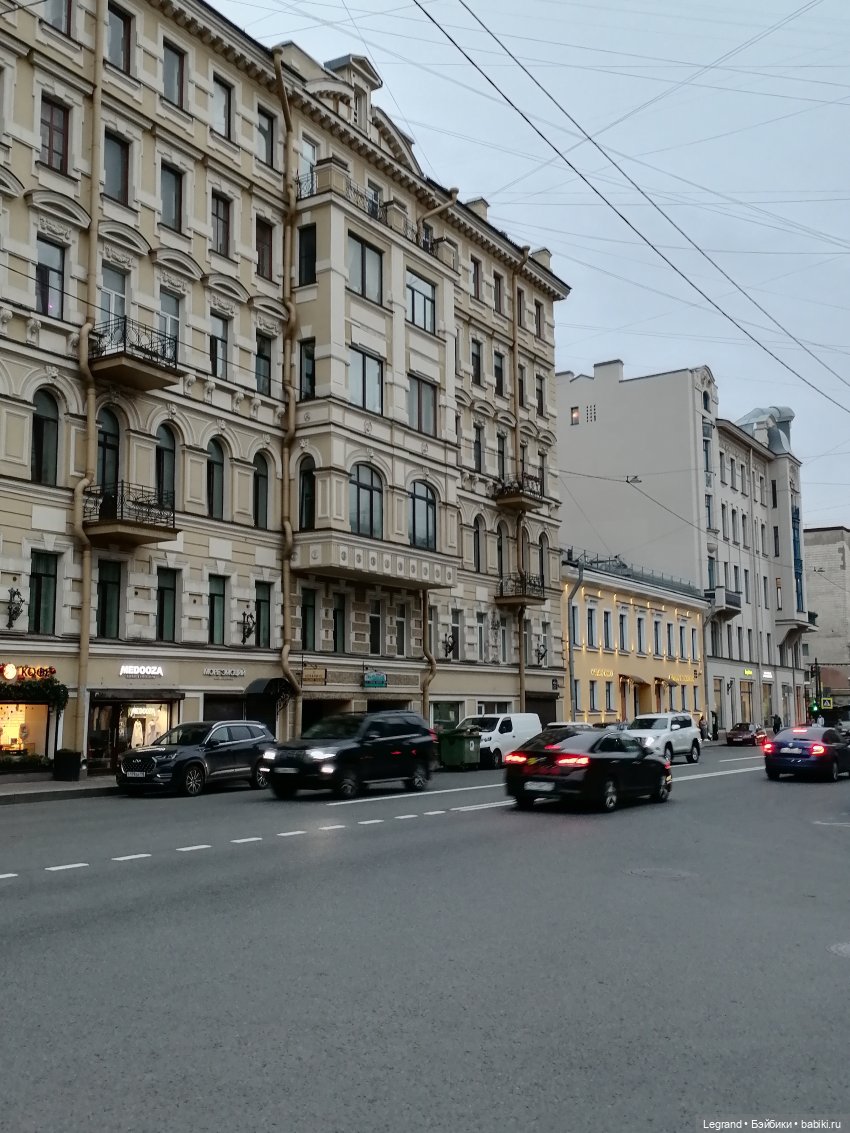 Санкт-Петербург: питомцы на ул. Радищева