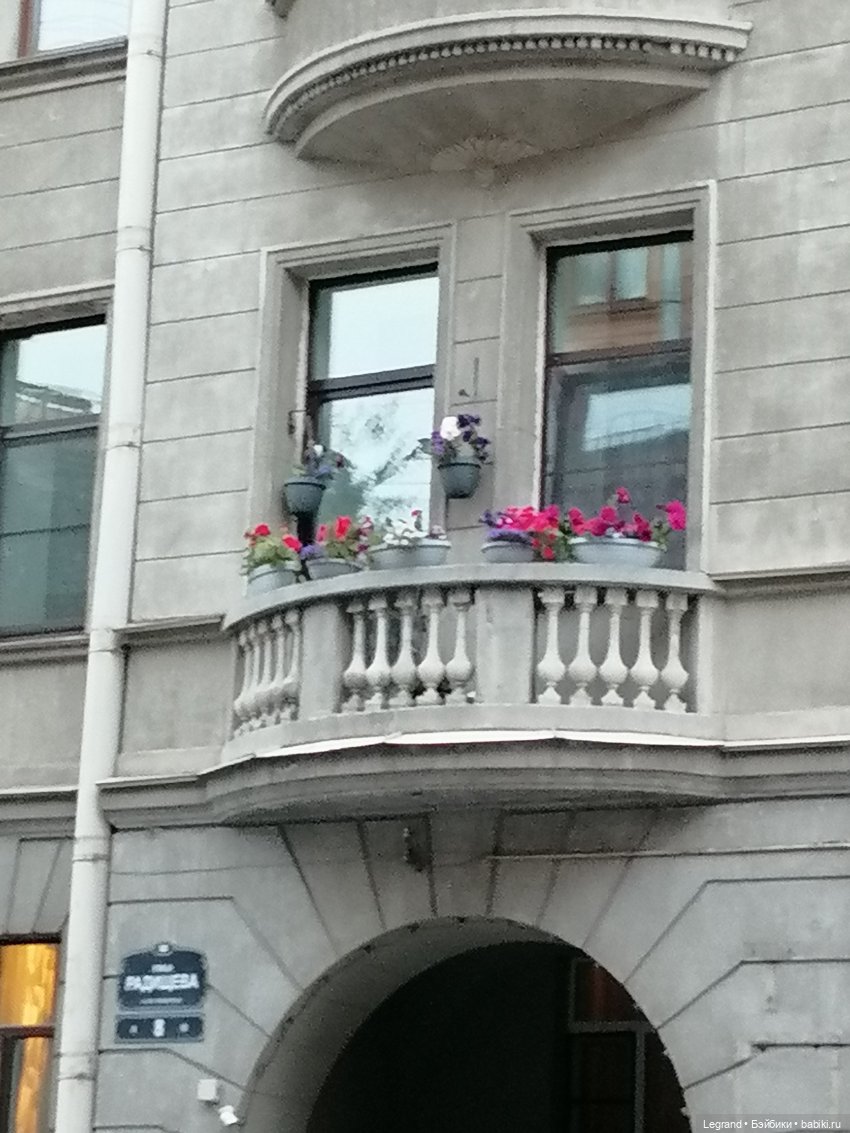 Санкт-Петербург: питомцы на ул. Радищева