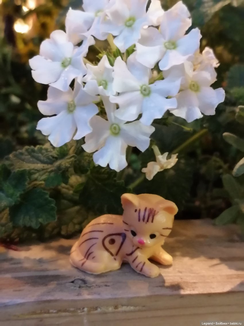 Санкт-Петербург: питомцы на Лиговском и в ТК "Невский Центр"