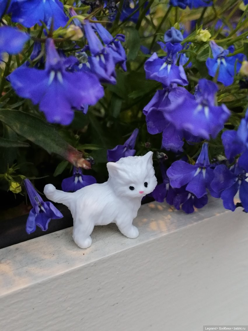 Санкт-Петербург: питомцы на ул. Радищева