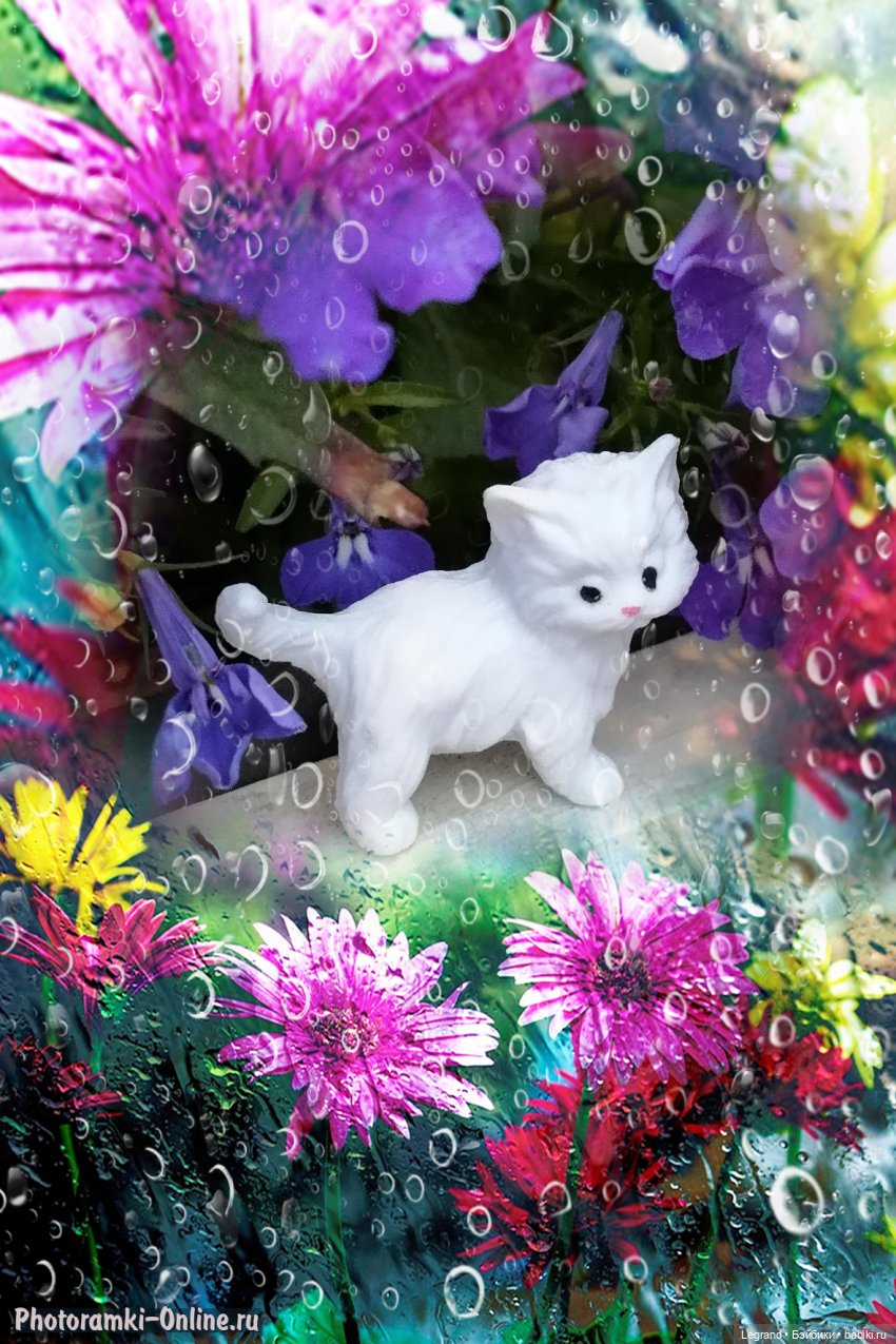 Лурения: семья кошки Шекер🐈