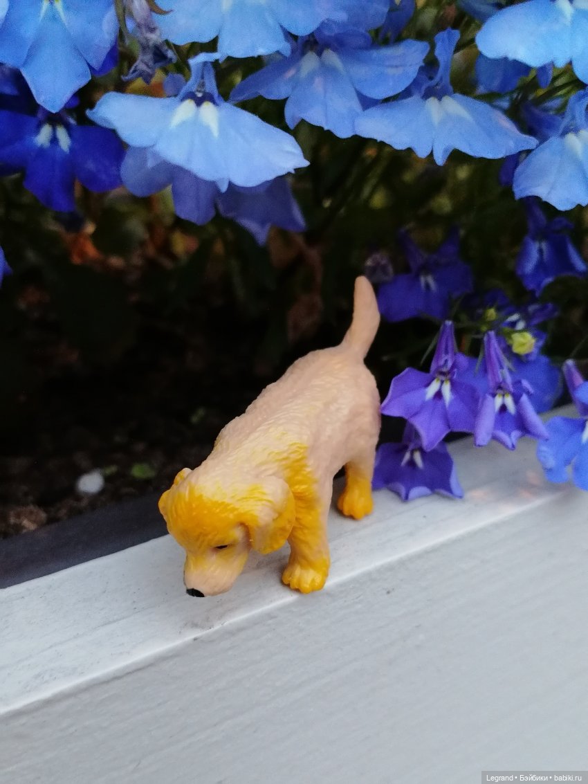 Санкт-Петербург: питомцы на ул. Радищева (фото 4)