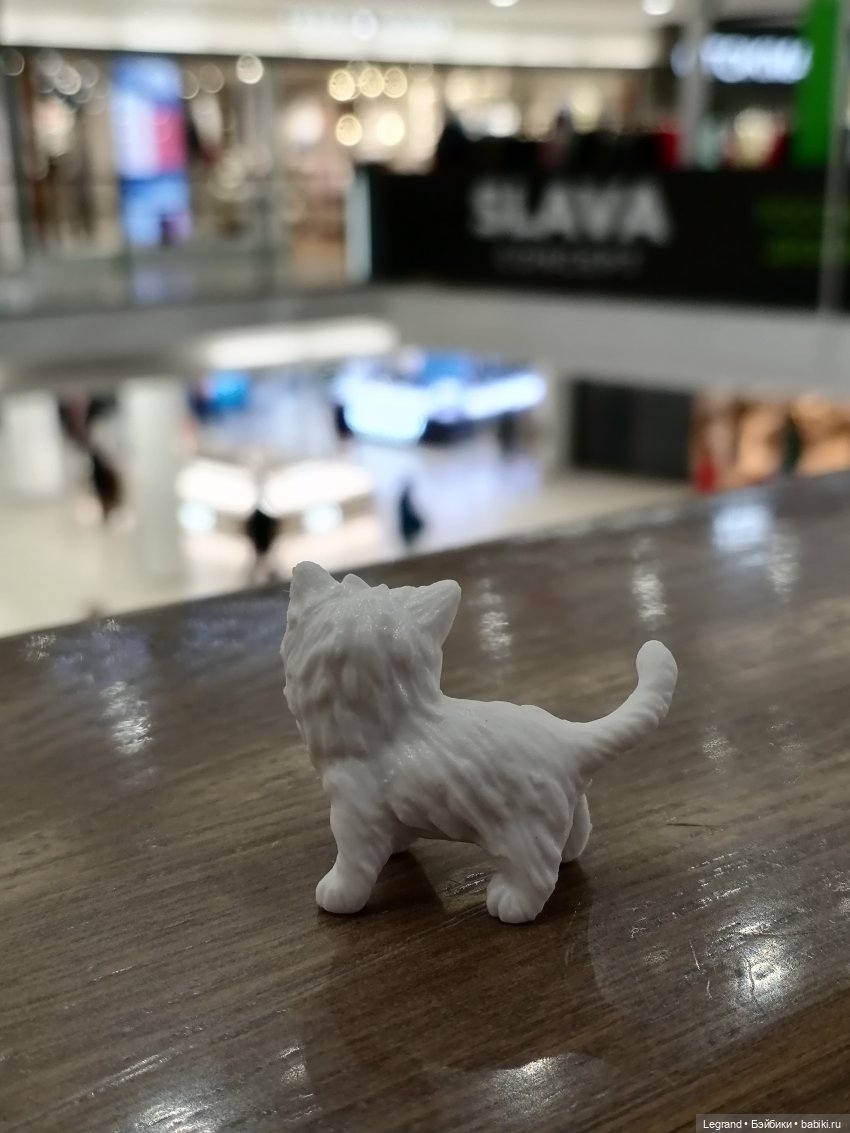 Санкт-Петербург: питомцы на Лиговском и в ТК "Невский Центр"