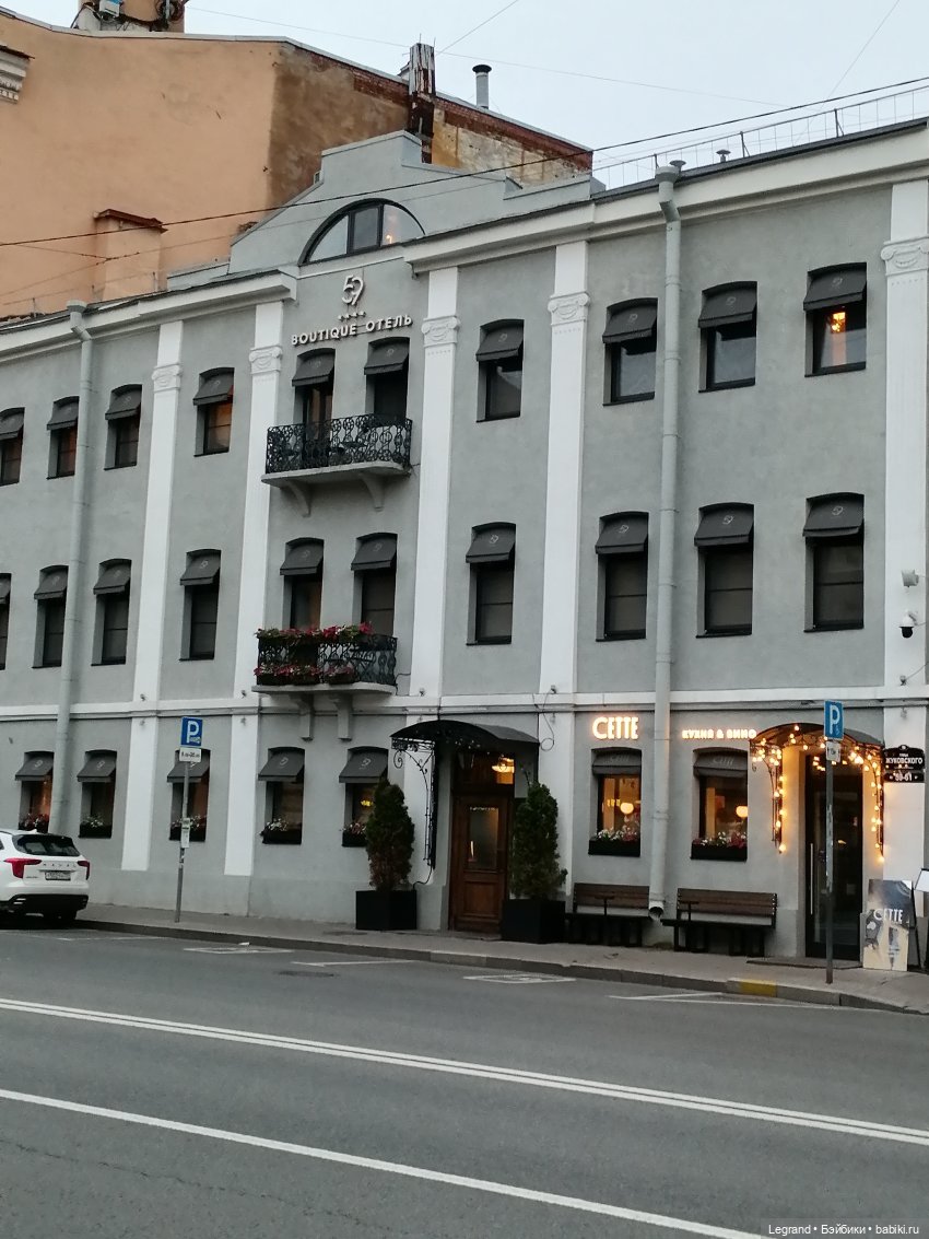 Санкт-Петербург: питомцы на ул. Радищева