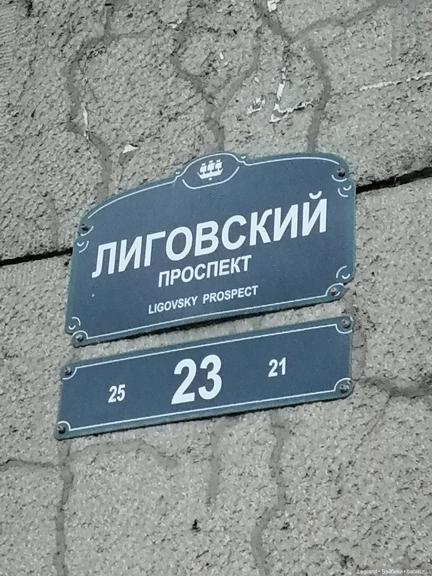 Санкт-Петербург: питомцы на Лиговском и в ТК "Невский Центр" (фото 3)