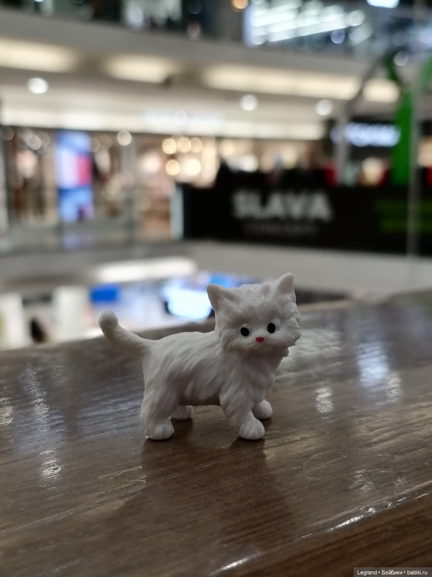 Санкт-Петербург: питомцы на Лиговском и в ТК "Невский Центр"