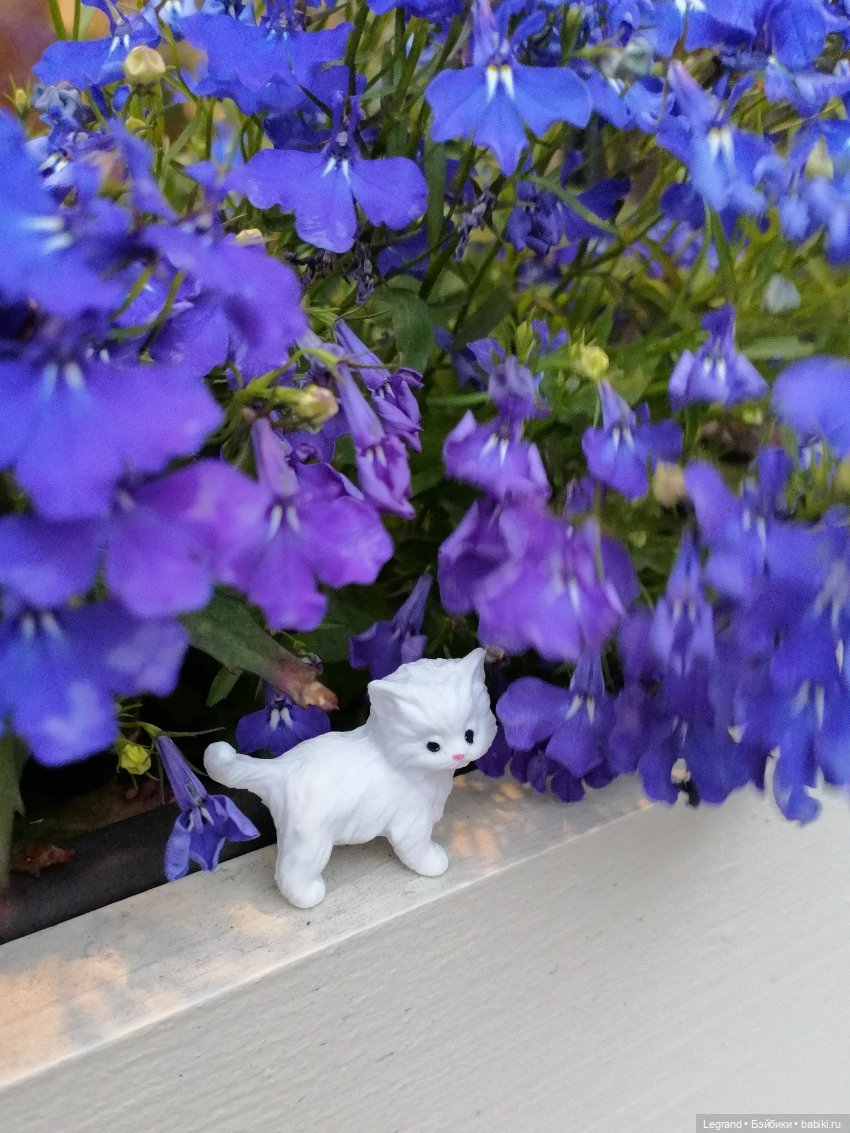 Санкт-Петербург: питомцы на ул. Радищева (фото 10)