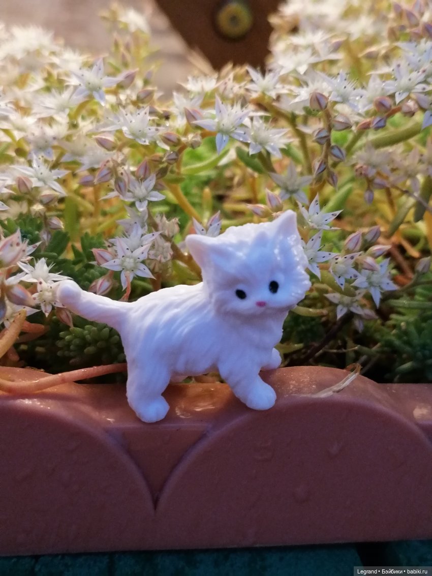 Санкт-Петербург: питомцы на Лиговском и в ТК "Невский Центр"