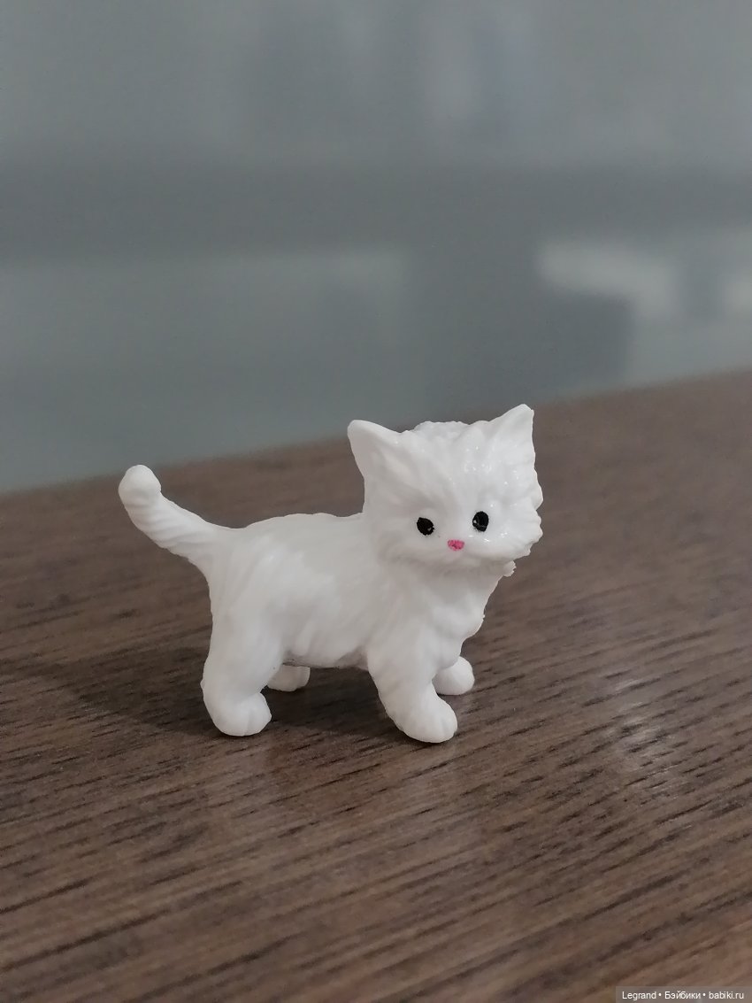 Санкт-Петербург: питомцы на Лиговском и в ТК "Невский Центр"