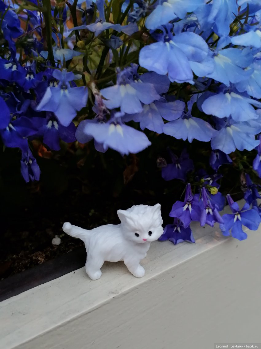 Санкт-Петербург: питомцы на ул. Радищева (фото 7)