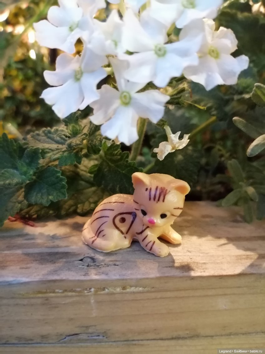 Санкт-Петербург: питомцы на Лиговском и в ТК "Невский Центр"