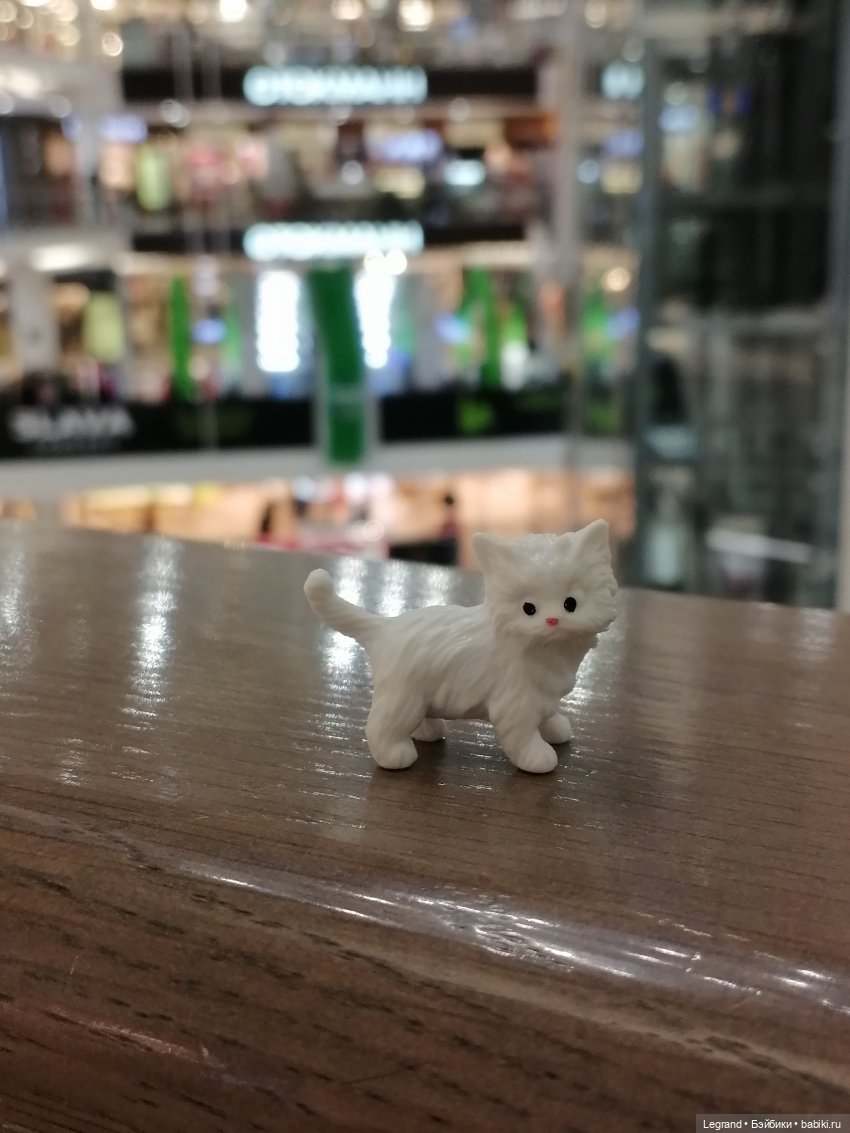 Санкт-Петербург: питомцы на Лиговском и в ТК "Невский Центр"