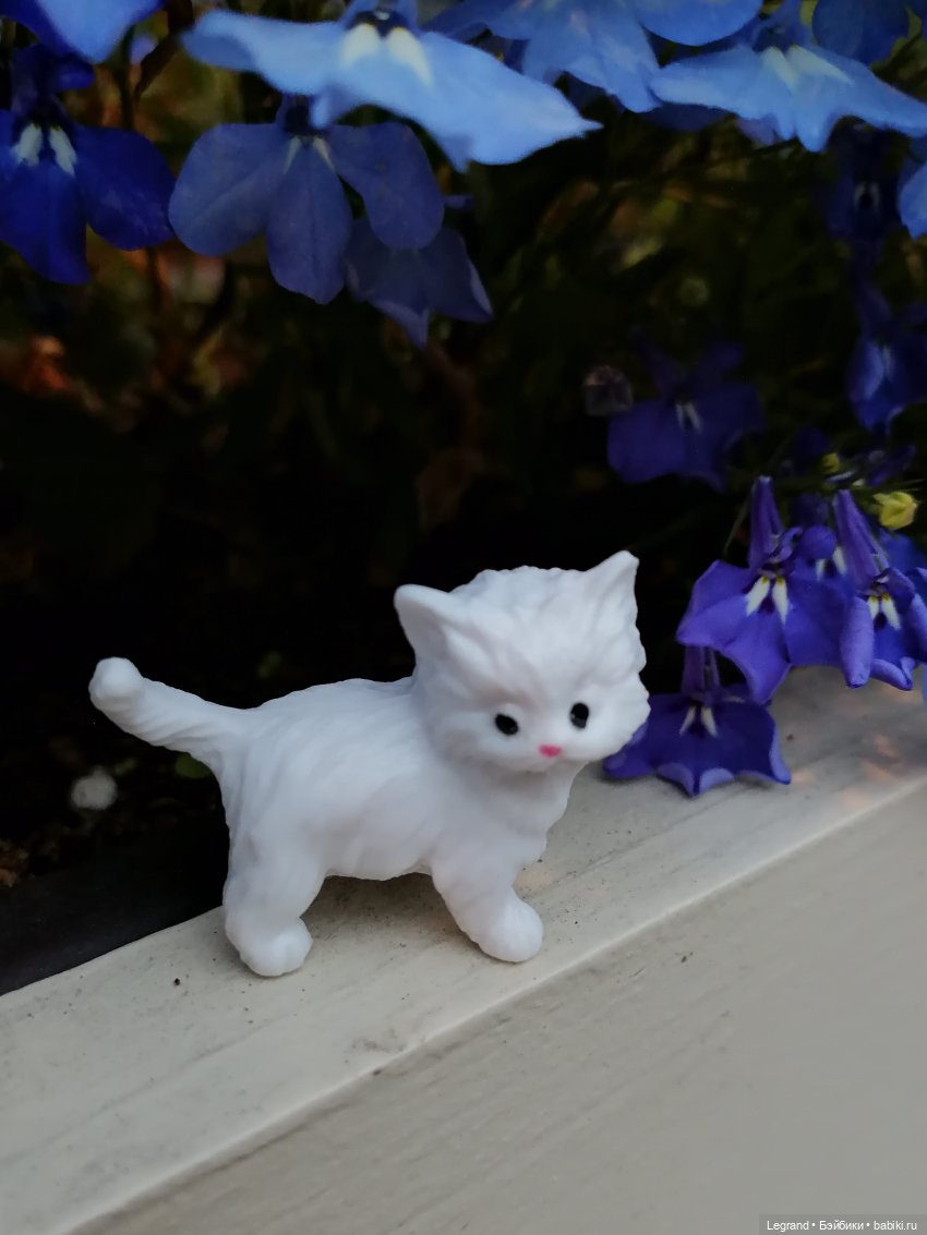 Санкт-Петербург: питомцы на ул. Радищева (фото 8)