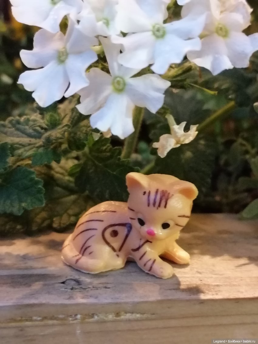 Санкт-Петербург: питомцы на Лиговском и в ТК "Невский Центр"