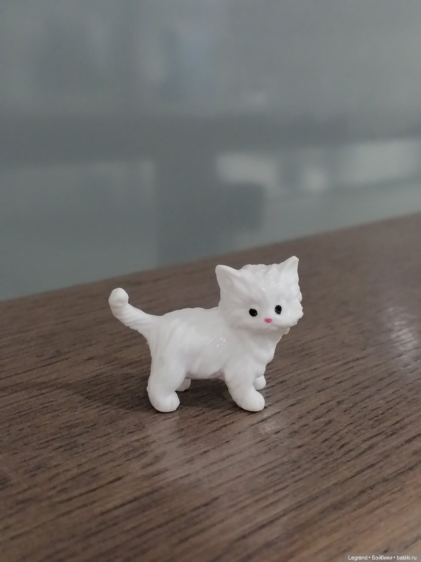 Санкт-Петербург: питомцы на Лиговском и в ТК "Невский Центр"