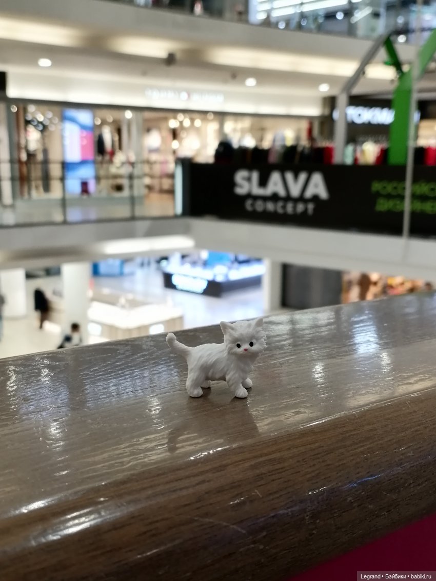 Санкт-Петербург: питомцы на Лиговском и в ТК "Невский Центр"