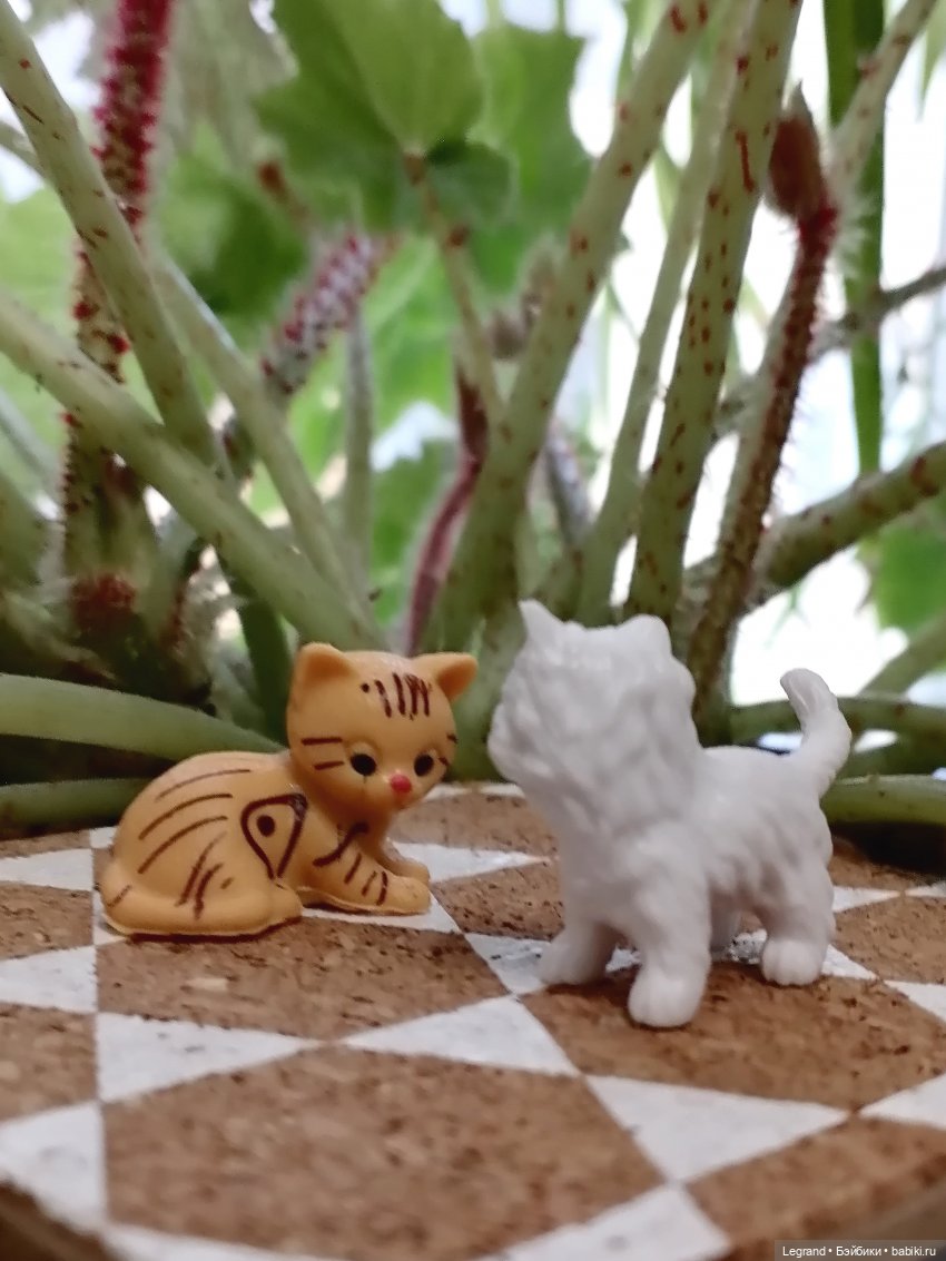 Лурения - Верхний сад: прогулки и встречи (фото 7)