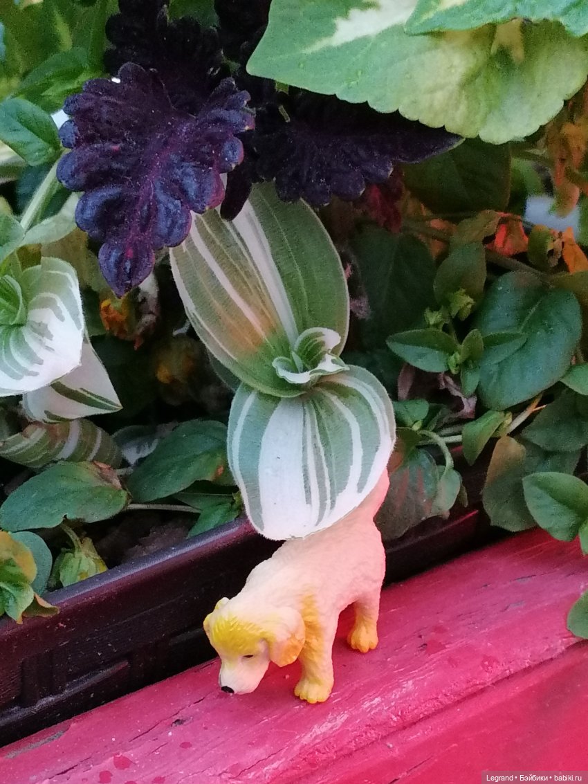 Санкт-Петербург: питомцы на Лиговском и в ТК "Невский Центр" (фото 6)