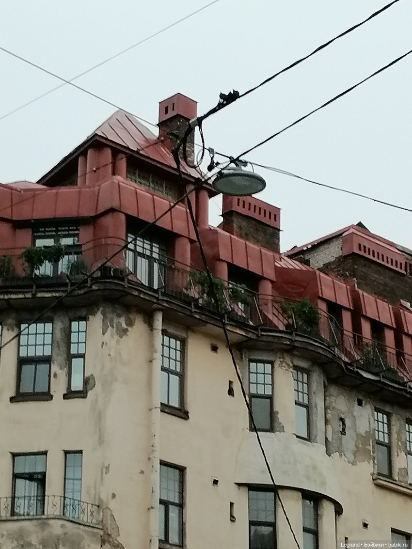 Санкт-Петербург: питомцы на ул. Радищева