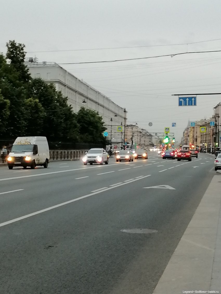 Санкт-Петербург: питомцы на Лиговском и в ТК "Невский Центр" (фото 2)