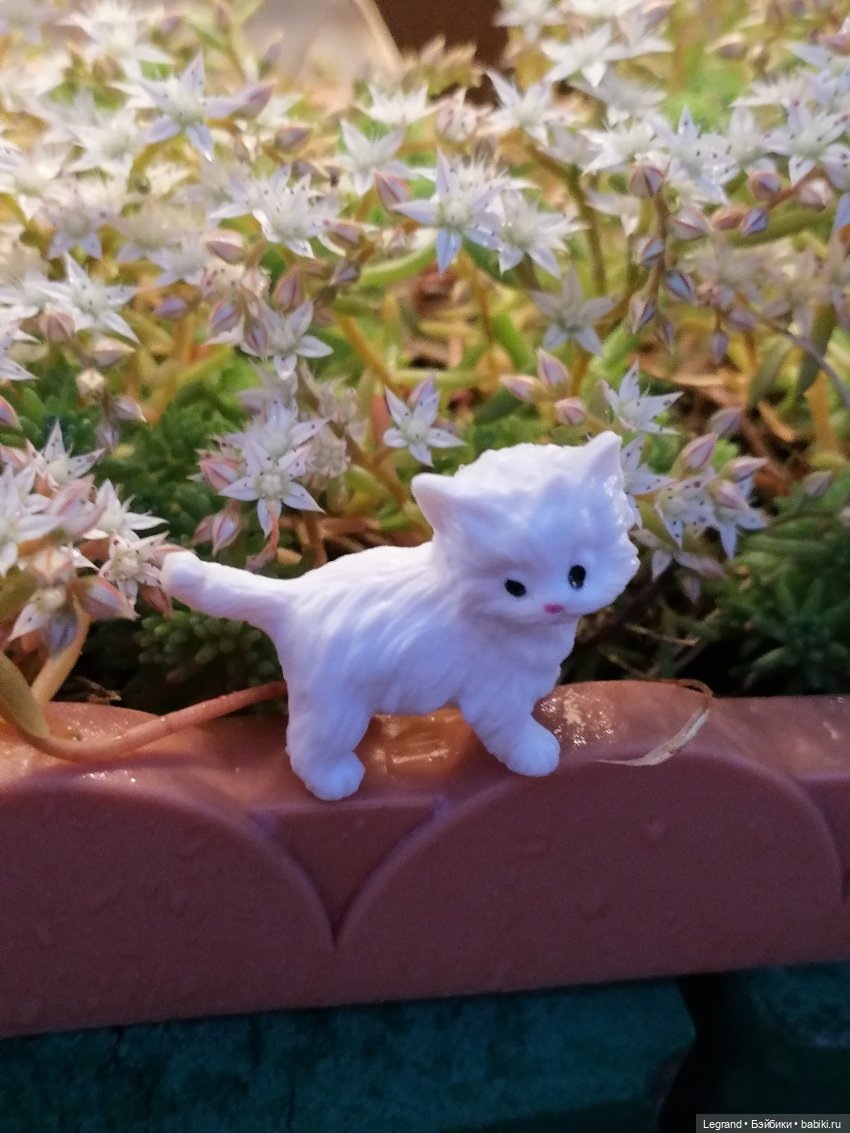 Санкт-Петербург: питомцы на Лиговском и в ТК "Невский Центр"