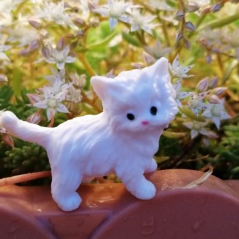 Санкт-Петербург: питомцы на Лиговском и в ТК "Невский Центр"