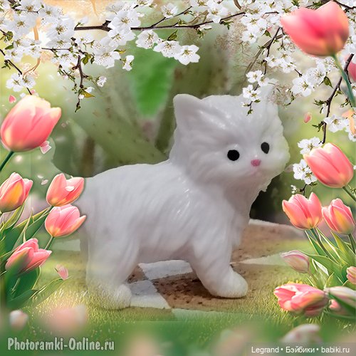 Лурения: семья кошки Шекер🐈 (фото 8)