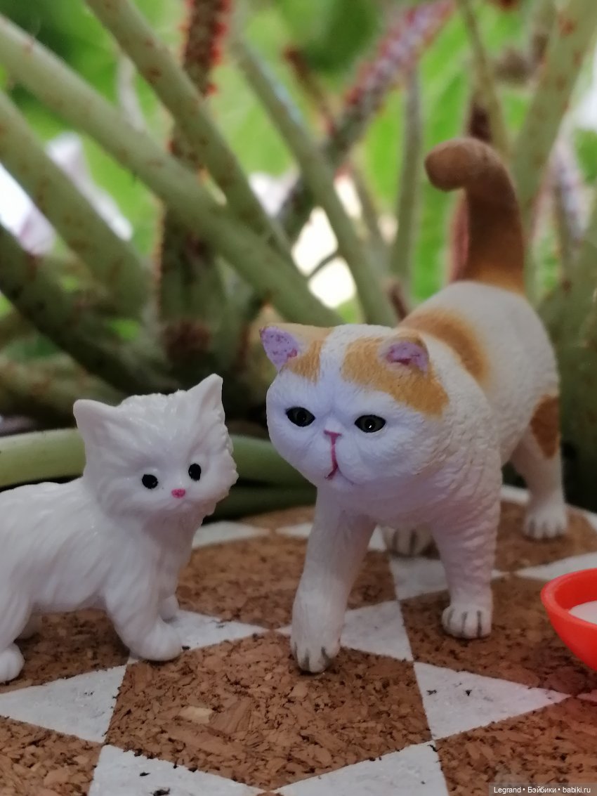 Лурения: семья кошки Шекер🐈