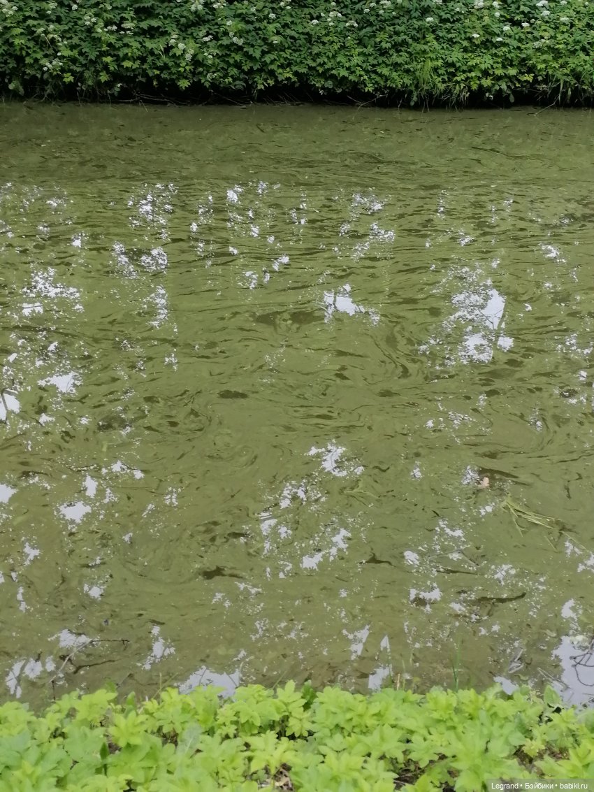 Лурения - Петербург: Рюзгяр и Барин в Таврическом саду